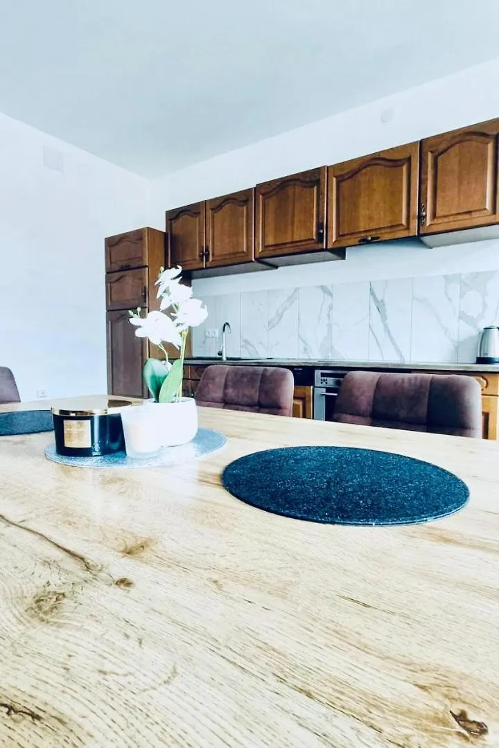 شقة Spacious 4Br Apt, Up To 15P 15Min To Danube River فيينا